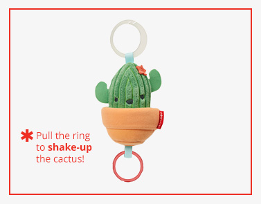 skip hop jitter cactus